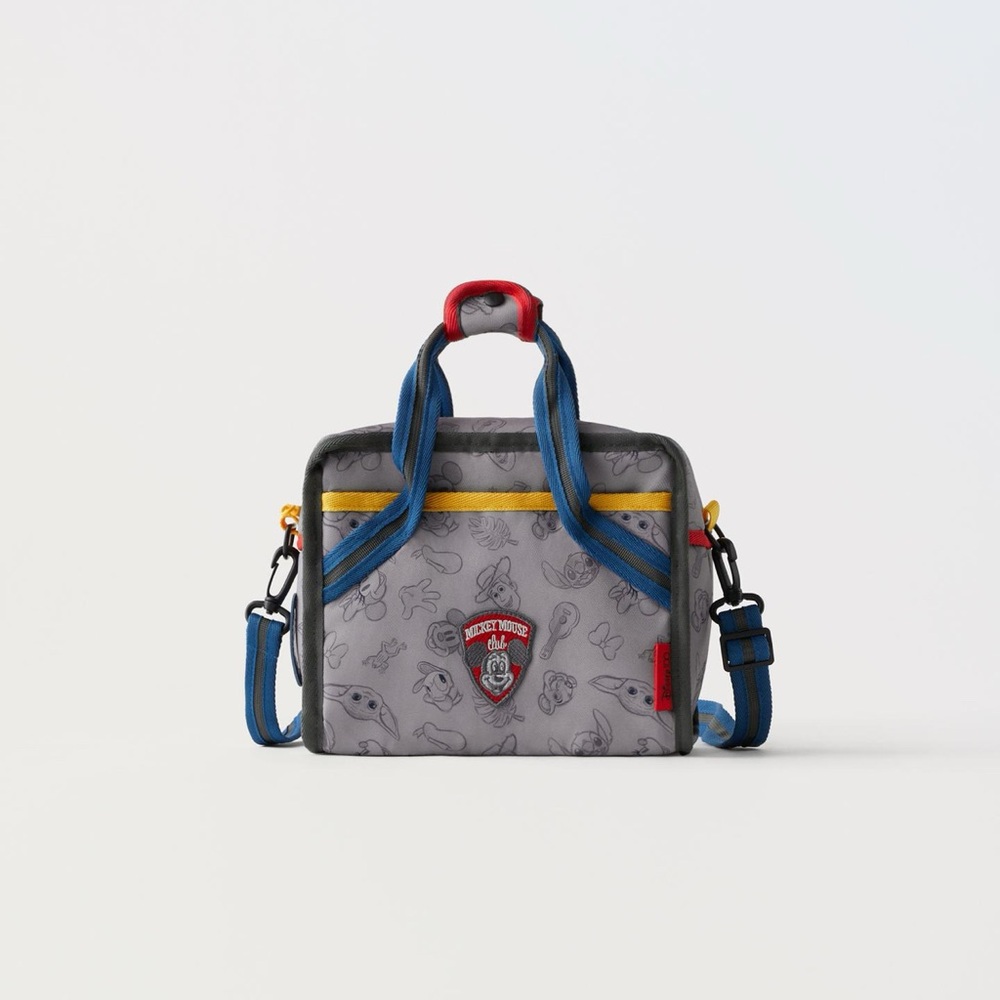 Zara Gray and Blue Men's Messenger Bag